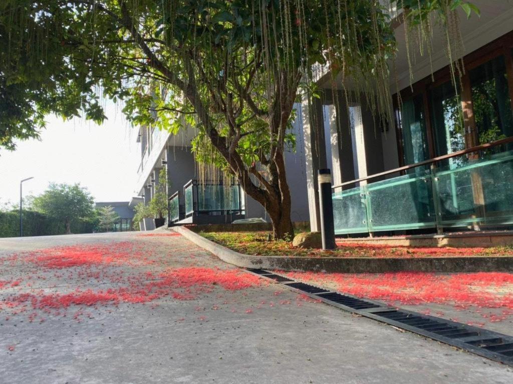 Nutchana Hill Boutique Hotel Hat Yai Ngoại thất bức ảnh